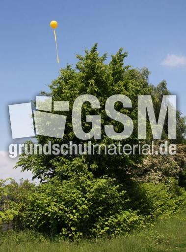 Schachtzeichen 029.jpg